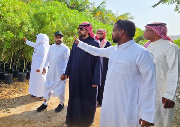 مبادرة السعودية الخضراء